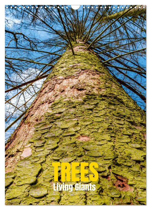 Trees, Living Giants (CALVENDO Monthly Calendar 2026)