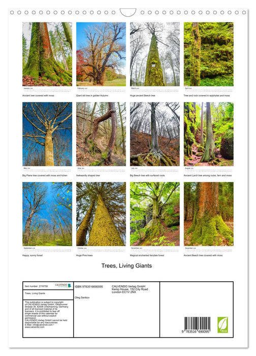 Trees, Living Giants (CALVENDO Monthly Calendar 2026)