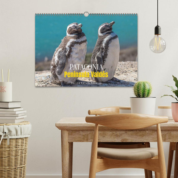 Patagonia, Peninsula Valdés - Marine Nature Reserve (CALVENDO Monthly Calendar 2026)