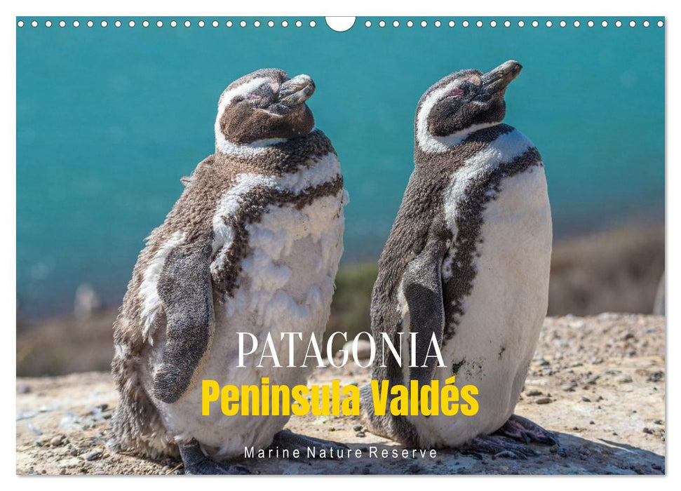Patagonia, Peninsula Valdés - Marine Nature Reserve (CALVENDO Monthly Calendar 2026)