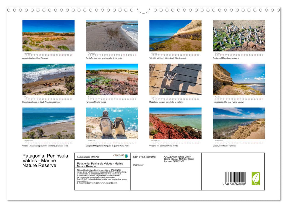Patagonia, Peninsula Valdés - Marine Nature Reserve (CALVENDO Monthly Calendar 2026)