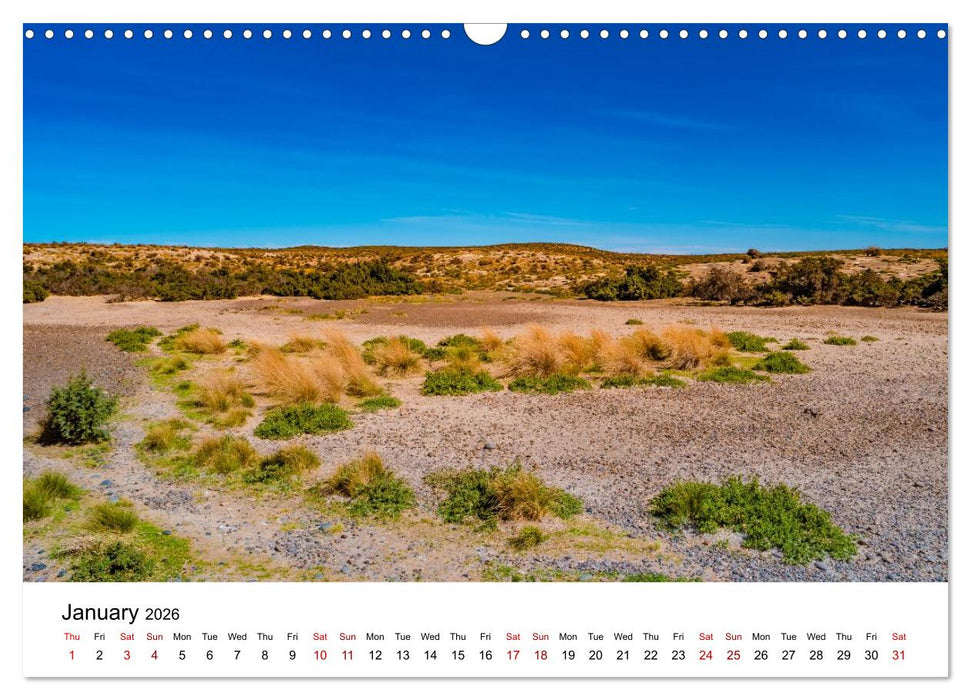 Patagonia, Peninsula Valdés - Marine Nature Reserve (CALVENDO Monthly Calendar 2026)