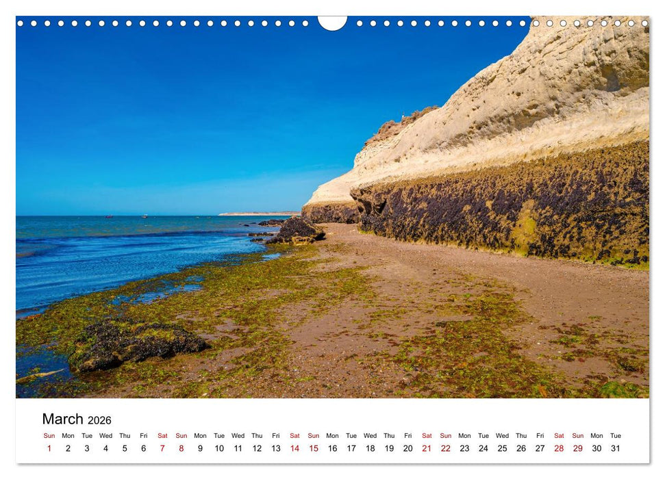 Patagonia, Peninsula Valdés - Marine Nature Reserve (CALVENDO Monthly Calendar 2026)
