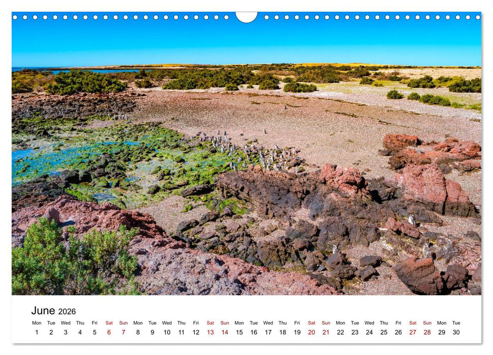 Patagonia, Peninsula Valdés - Marine Nature Reserve (CALVENDO Monthly Calendar 2026)
