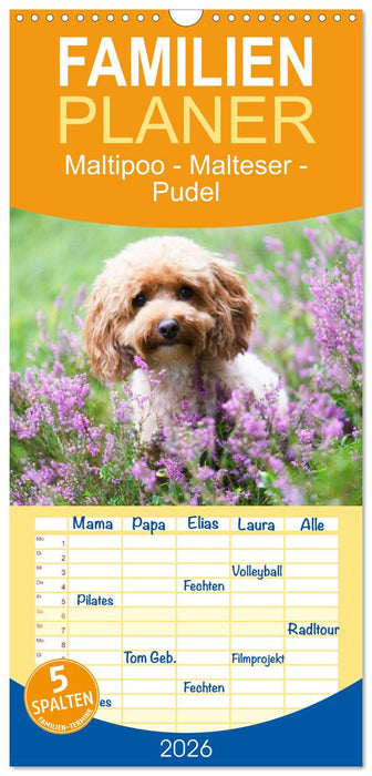 Maltipoo - Malteser -Pudel (CALVENDO Familienplaner 2026)