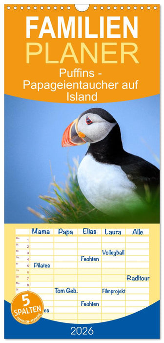 Puffins - Papageientaucher auf Island (CALVENDO Familienplaner 2026)