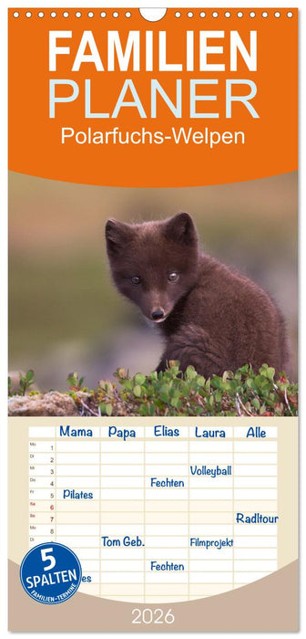 Polarfuchs-Welpen (CALVENDO Familienplaner 2026)