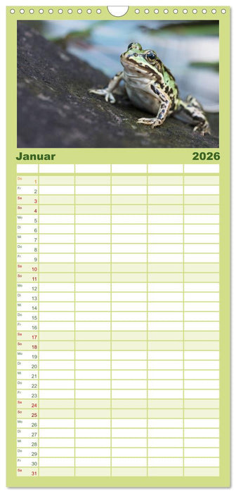 Fröhliche Frösche (CALVENDO Familienplaner 2026)