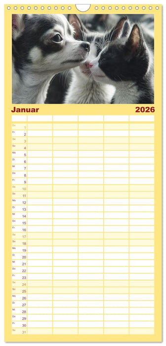 Hund und Katze - Tierische Freunde (CALVENDO Familienplaner 2026)