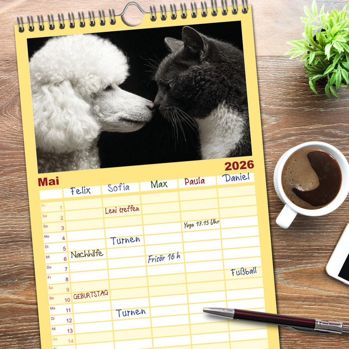 Hund und Katze - Tierische Freunde (CALVENDO Familienplaner 2026)