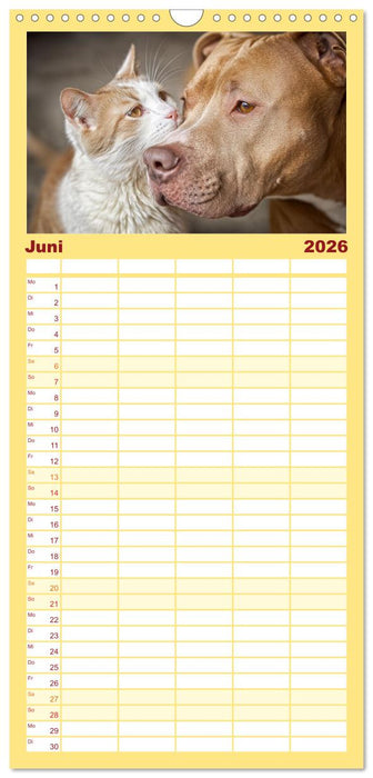 Hund und Katze - Tierische Freunde (CALVENDO Familienplaner 2026)