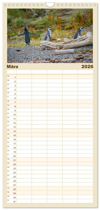 Patagonien, Tierra del Fuego: Am Rand der Welt (CALVENDO Familienplaner 2026)
