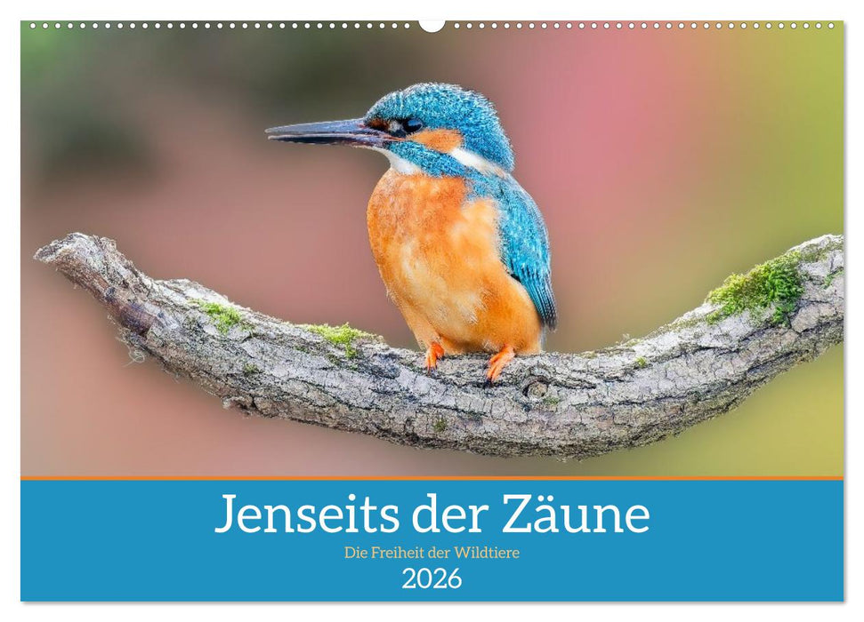 Jenseits der Zäune (CALVENDO Wandkalender 2026)