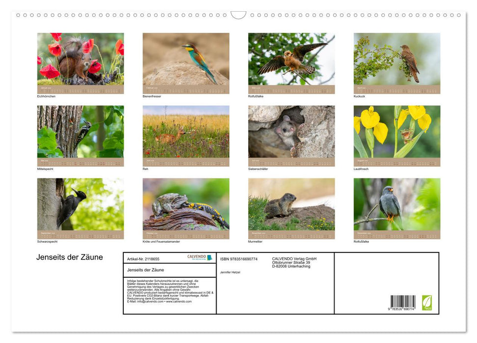 Jenseits der Zäune (CALVENDO Wandkalender 2026)