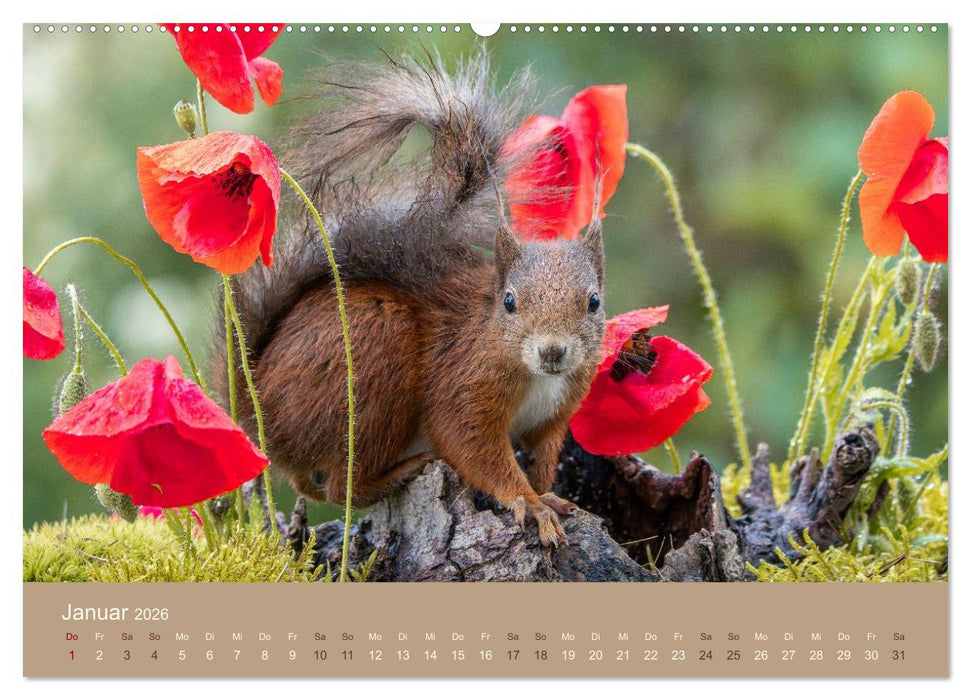 Jenseits der Zäune (CALVENDO Wandkalender 2026)