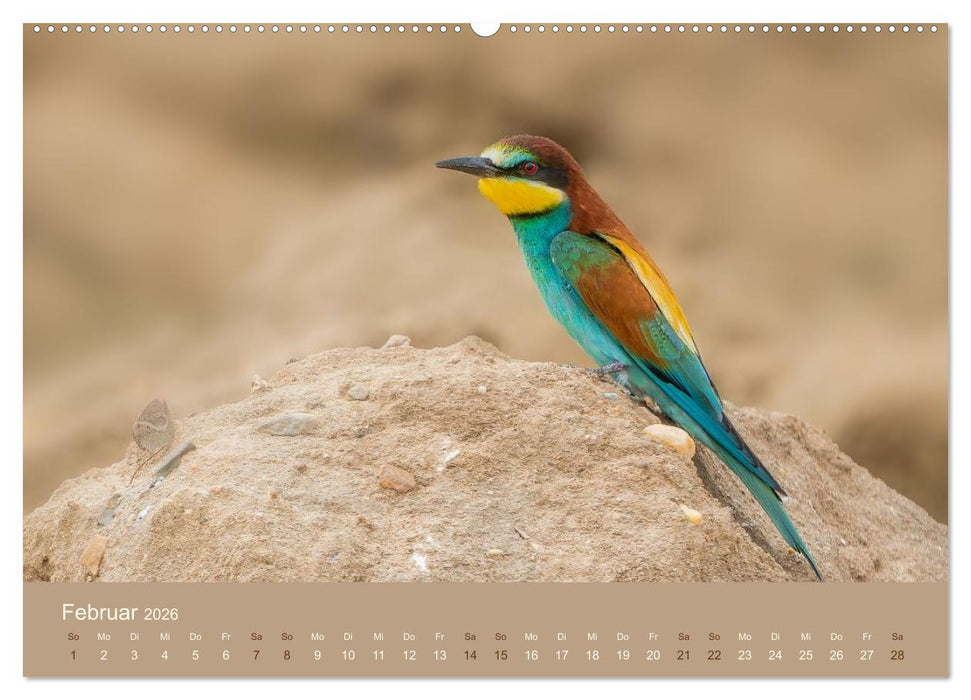 Jenseits der Zäune (CALVENDO Wandkalender 2026)