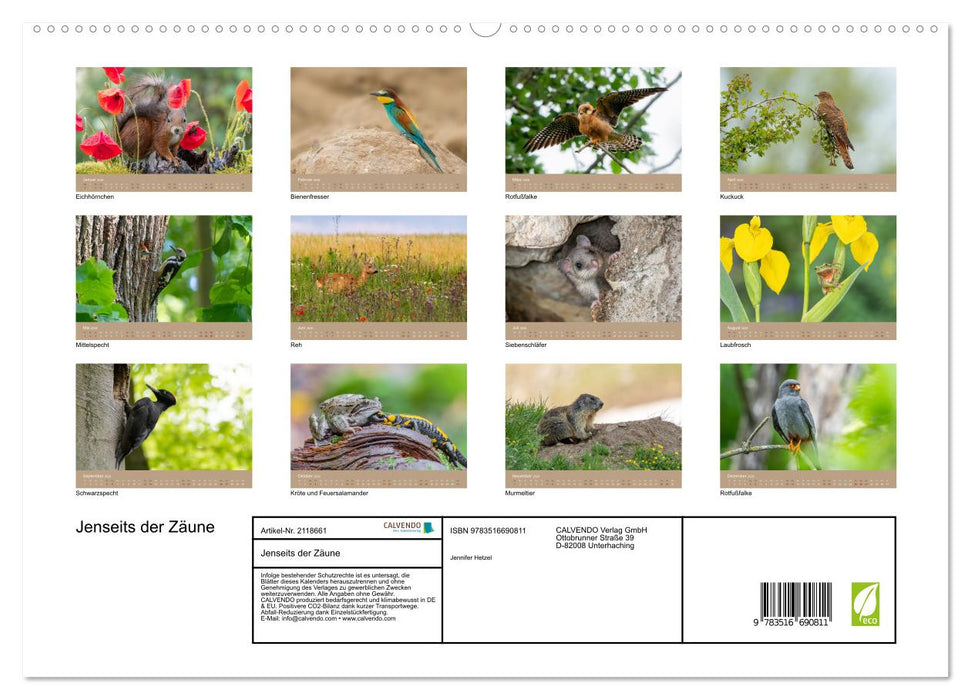 Jenseits der Zäune (CALVENDO Premium Wandkalender 2026)