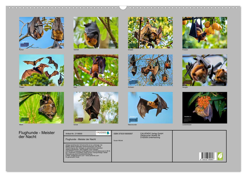 Flughunde - Meister der Nacht (CALVENDO Wandkalender 2026)