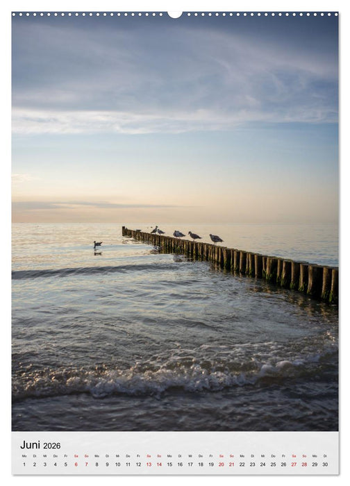 Fischland-Darß-Zingst - Im Licht des Nordens (CALVENDO Wandkalender 2026)