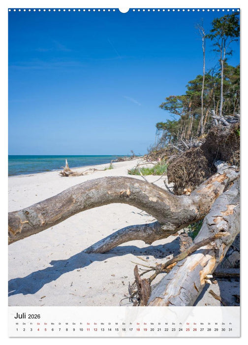 Fischland-Darß-Zingst - Im Licht des Nordens (CALVENDO Premium Wandkalender 2026)