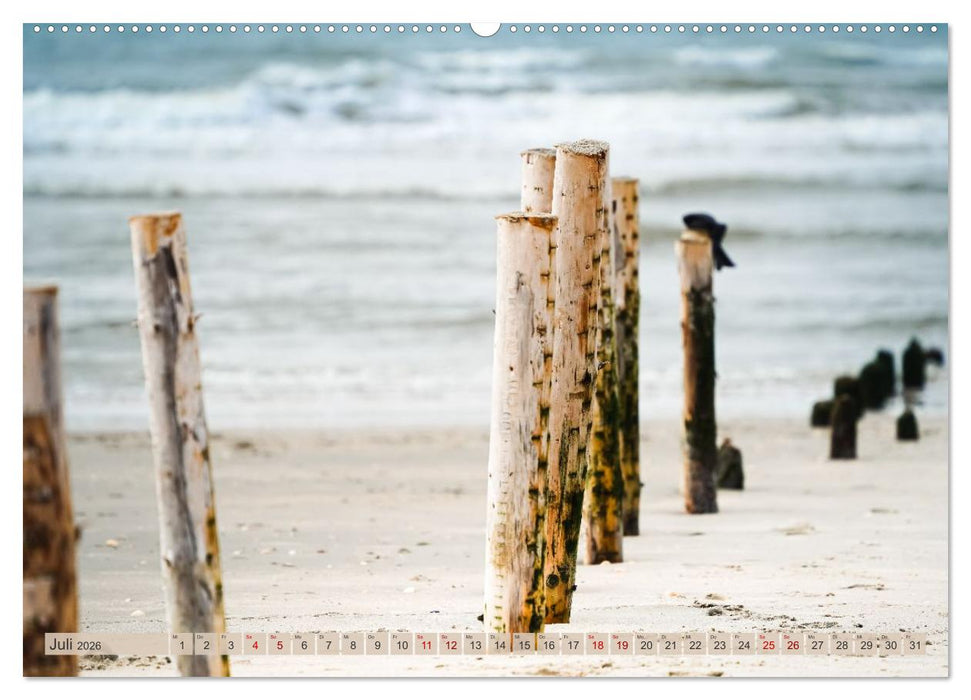 Westjütland - Dänemarks Westen erleben (CALVENDO Premium Wandkalender 2026)