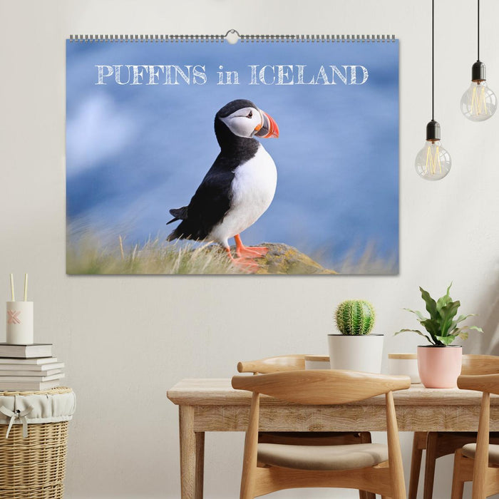 Puffins in Iceland (CALVENDO Monthly Calendar 2026)