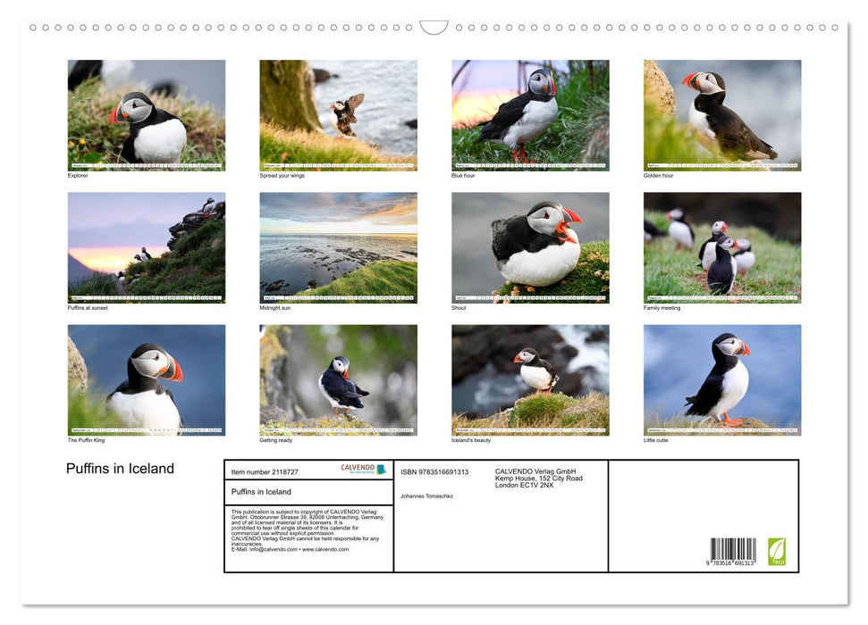 Puffins in Iceland (CALVENDO Monthly Calendar 2026)