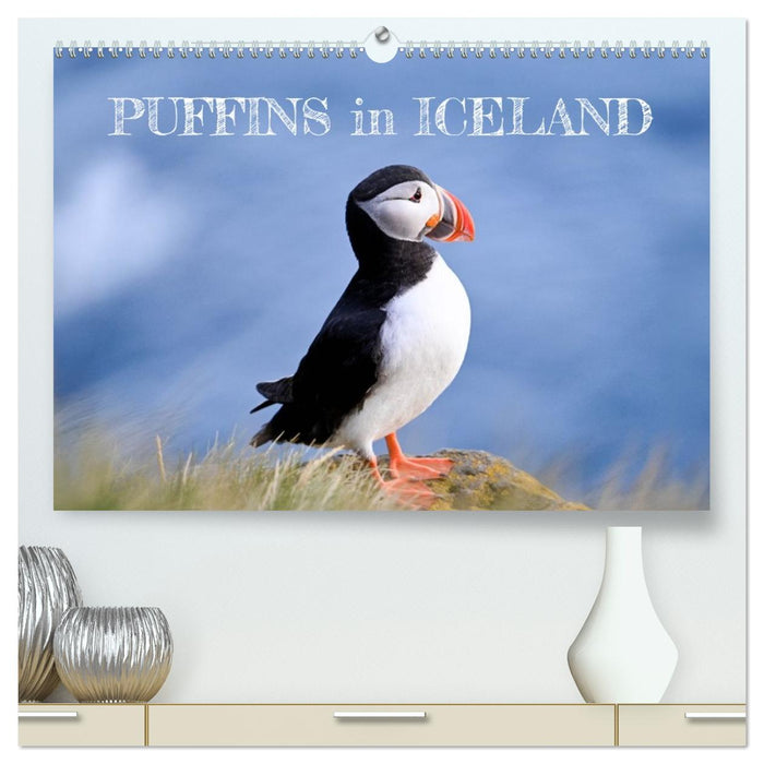 Puffins in Iceland (CALVENDO Premium-Calendar 2026)