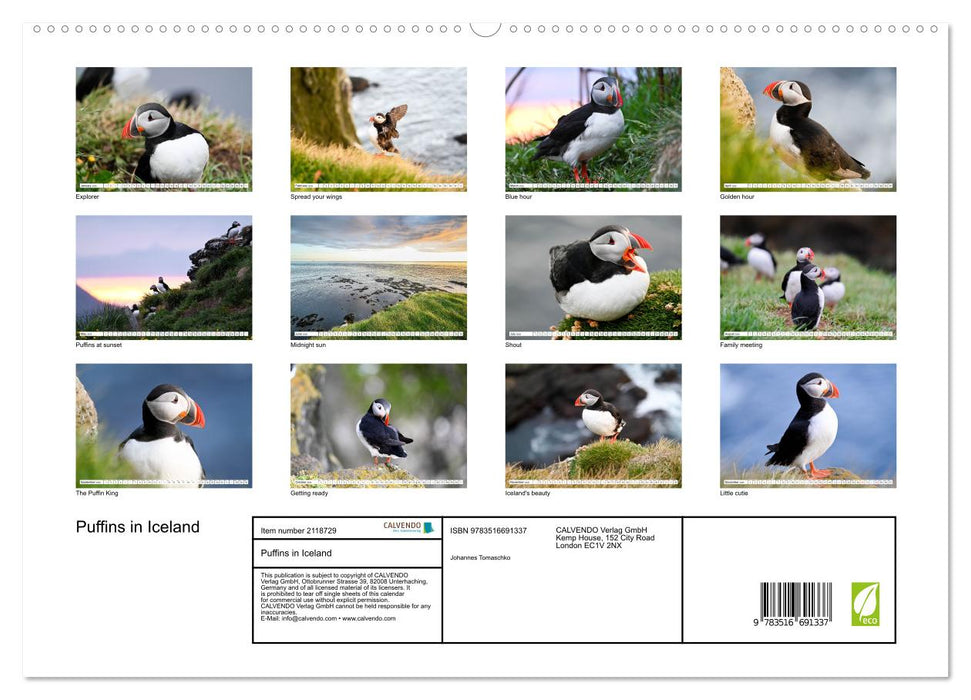Puffins in Iceland (CALVENDO Premium-Calendar 2026)