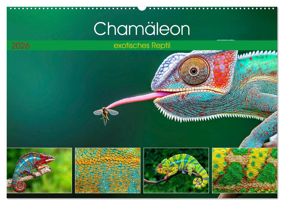 Chamäleon - exotisches Reptil (CALVENDO Wandkalender 2026)