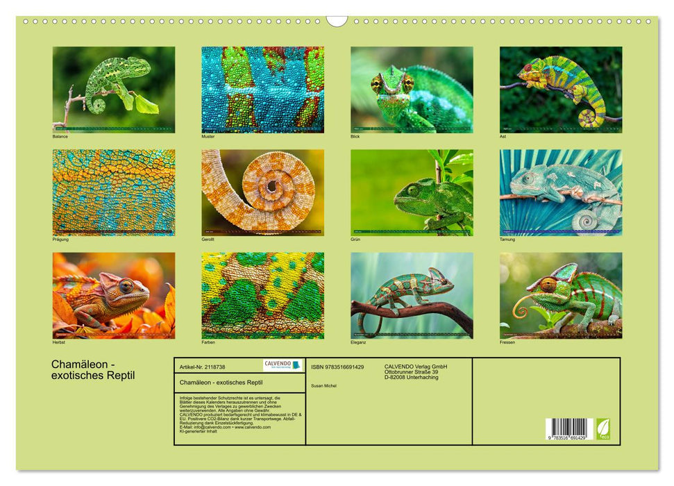 Chamäleon - exotisches Reptil (CALVENDO Wandkalender 2026)