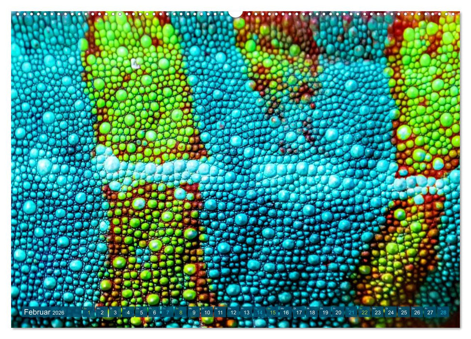 Chamäleon - exotisches Reptil (CALVENDO Premium Wandkalender 2026)