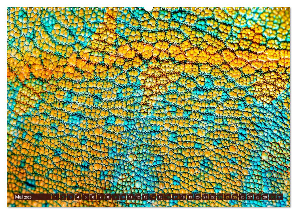 Chamäleon - exotisches Reptil (CALVENDO Premium Wandkalender 2026)