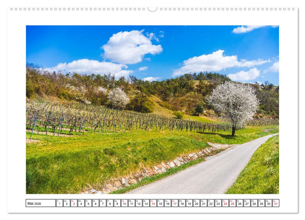 Das Weinviertel - Im Norden von Wien (CALVENDO Wandkalender 2026)