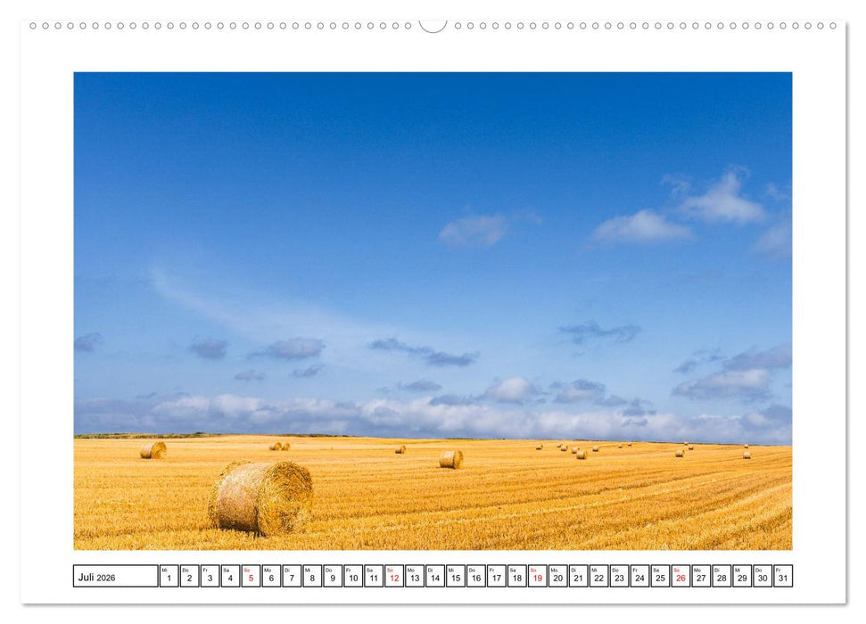 Das Weinviertel - Im Norden von Wien (CALVENDO Premium Wandkalender 2026)