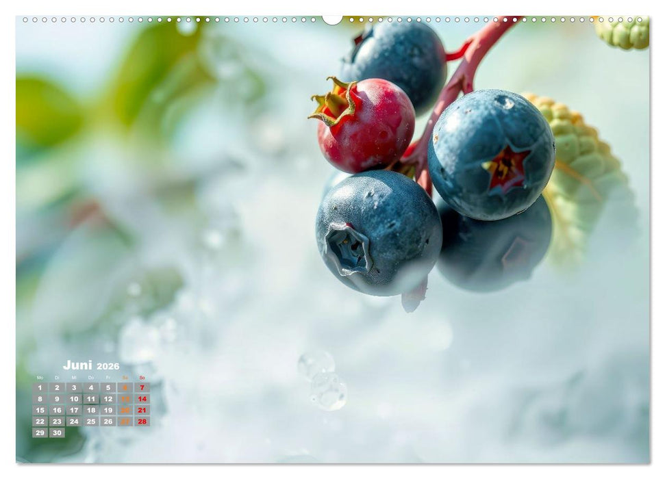 Superfood Blaubeeren und Erdbeeren (CALVENDO Wandkalender 2026)