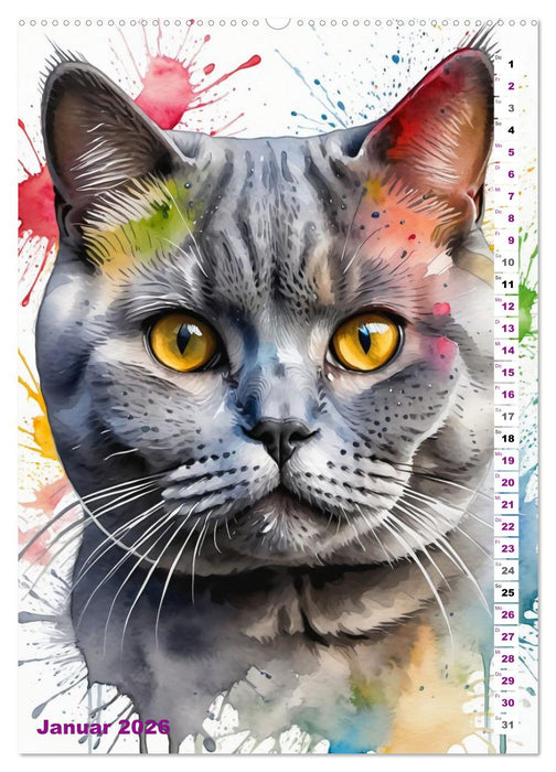 KATZENKALENDER - Aquarell Katzenportraits für Katzenliebhaber (CALVENDO Premium Wandkalender 2026)