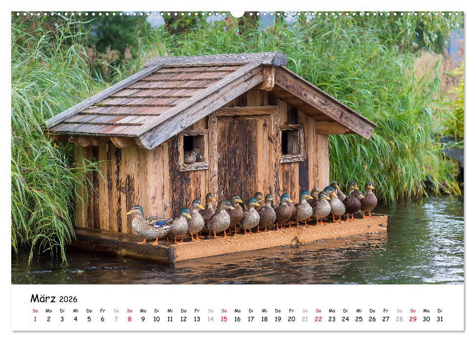 Hans der Bauer und seine Tiere auf dem Bauernhof (CALVENDO Wandkalender 2026)