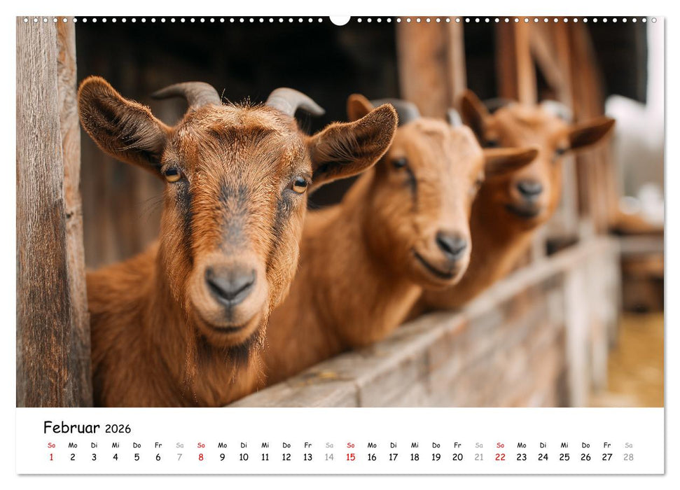 Hans der Bauer und seine Tiere auf dem Bauernhof (CALVENDO Premium Wandkalender 2026)