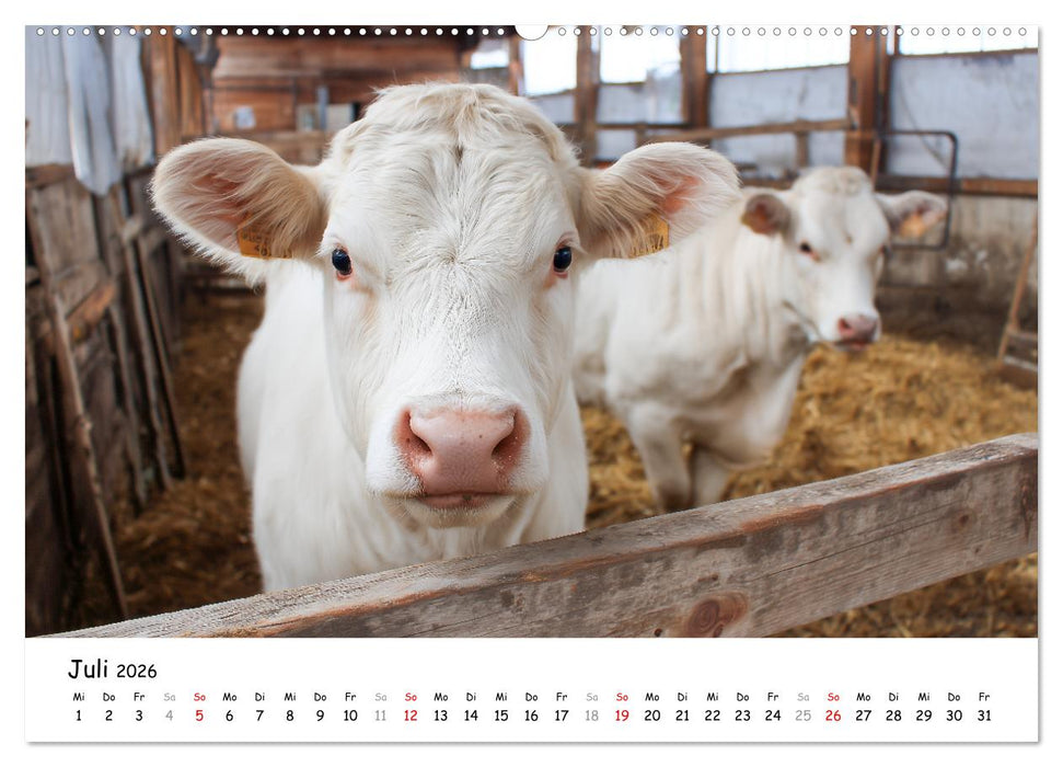 Hans der Bauer und seine Tiere auf dem Bauernhof (CALVENDO Premium Wandkalender 2026)