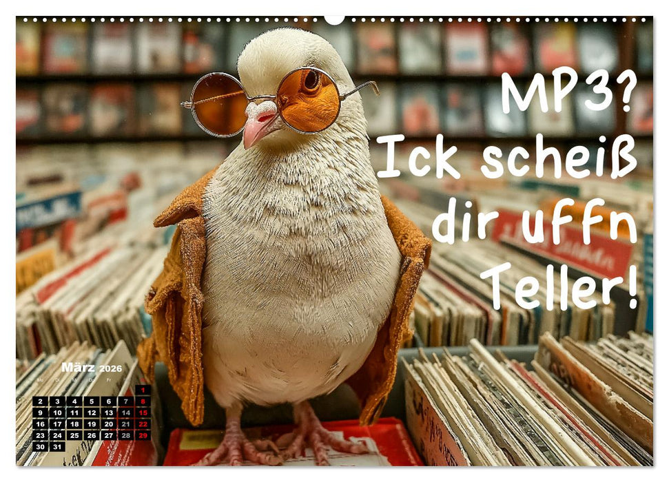 Freche Tauben - Lustiger Sprüchekalender mit Berliner Schnautze (CALVENDO Premium Wandkalender 2026)