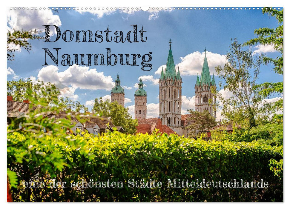 Domstadt Naumburg, eine der schönsten Städte Mitteldeutschlands (CALVENDO Wandkalender 2026)