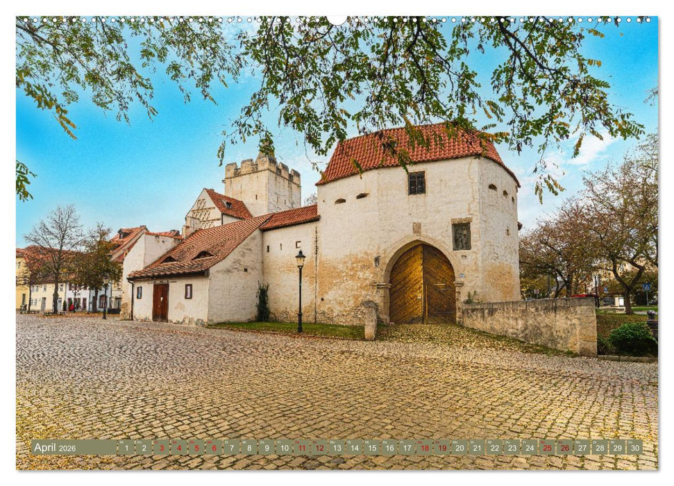 Domstadt Naumburg, eine der schönsten Städte Mitteldeutschlands (CALVENDO Wandkalender 2026)