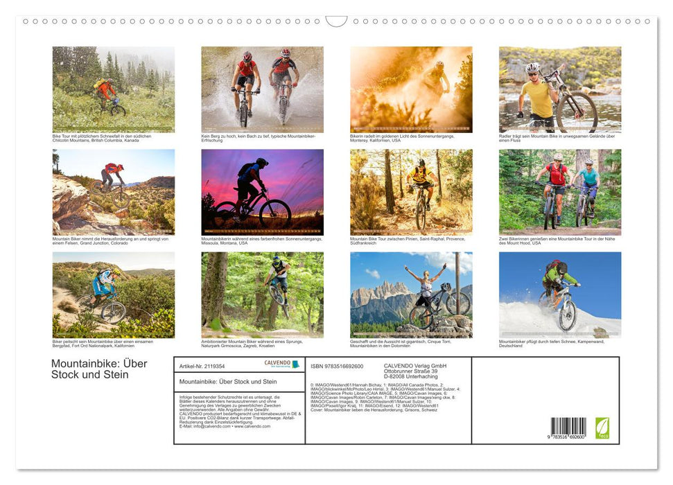 Mountainbike: Über Stock und Stein (CALVENDO Wandkalender 2026)