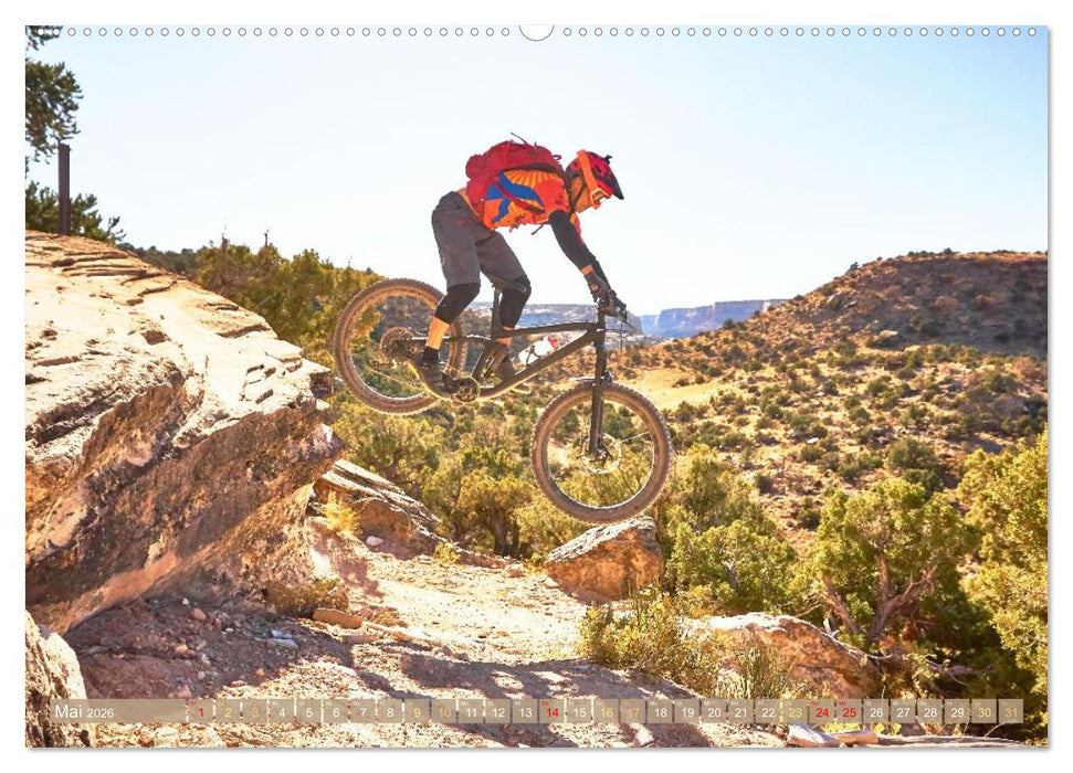 Mountainbike: Über Stock und Stein (CALVENDO Wandkalender 2026)