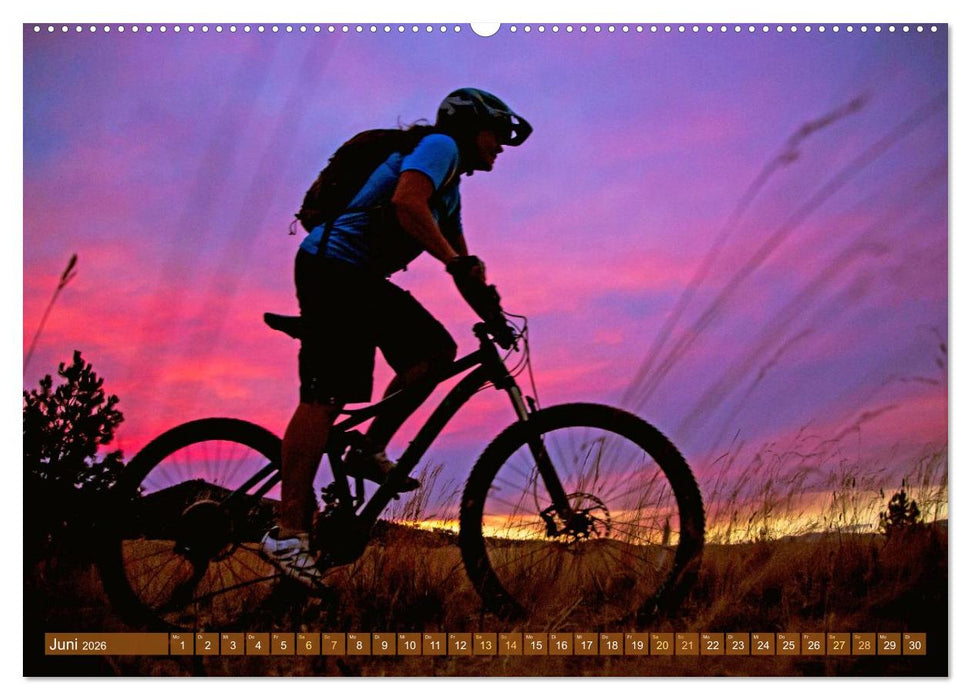 Mountainbike: Über Stock und Stein (CALVENDO Wandkalender 2026)