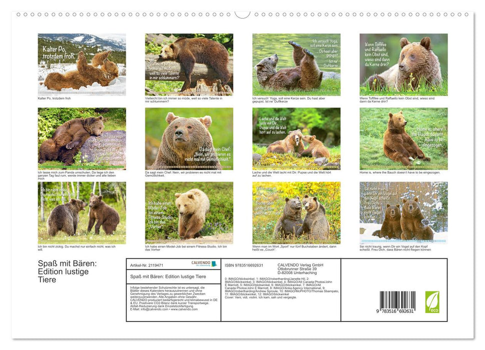 Spaß mit Bären: Edition lustige Tiere (CALVENDO Premium Wandkalender 2026)