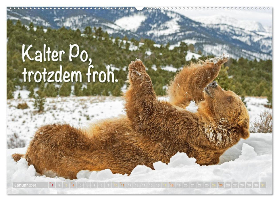 Spaß mit Bären: Edition lustige Tiere (CALVENDO Premium Wandkalender 2026)