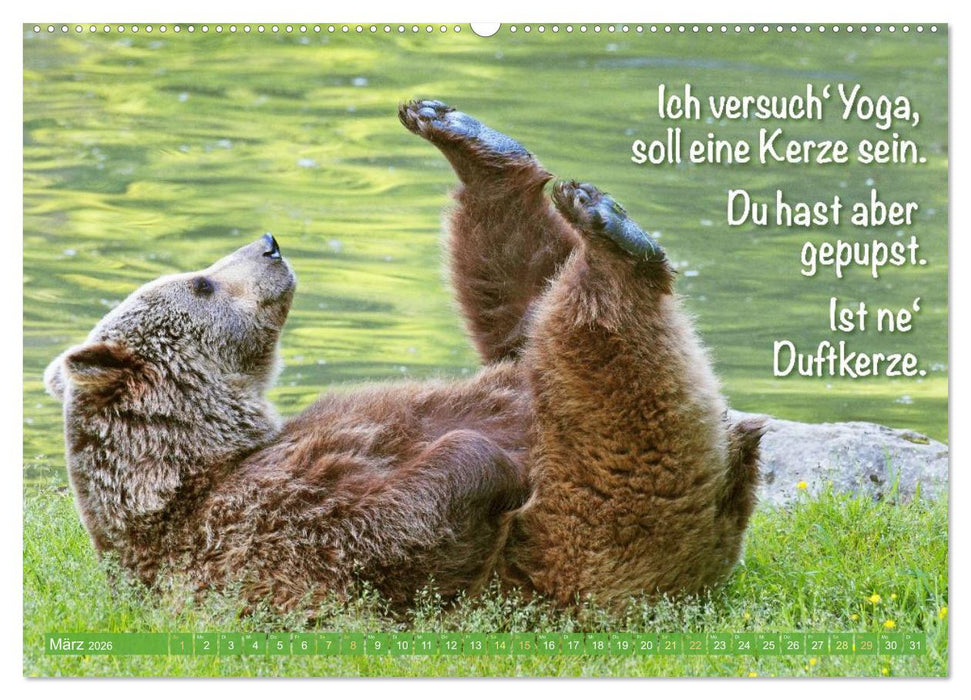 Spaß mit Bären: Edition lustige Tiere (CALVENDO Premium Wandkalender 2026)