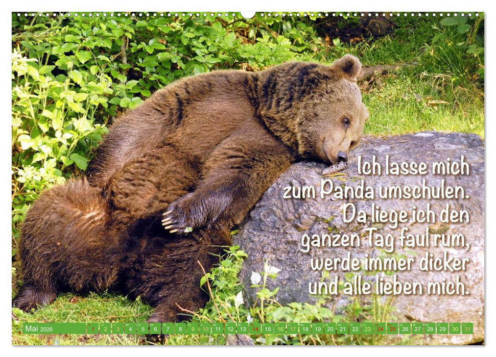 Spaß mit Bären: Edition lustige Tiere (CALVENDO Premium Wandkalender 2026)